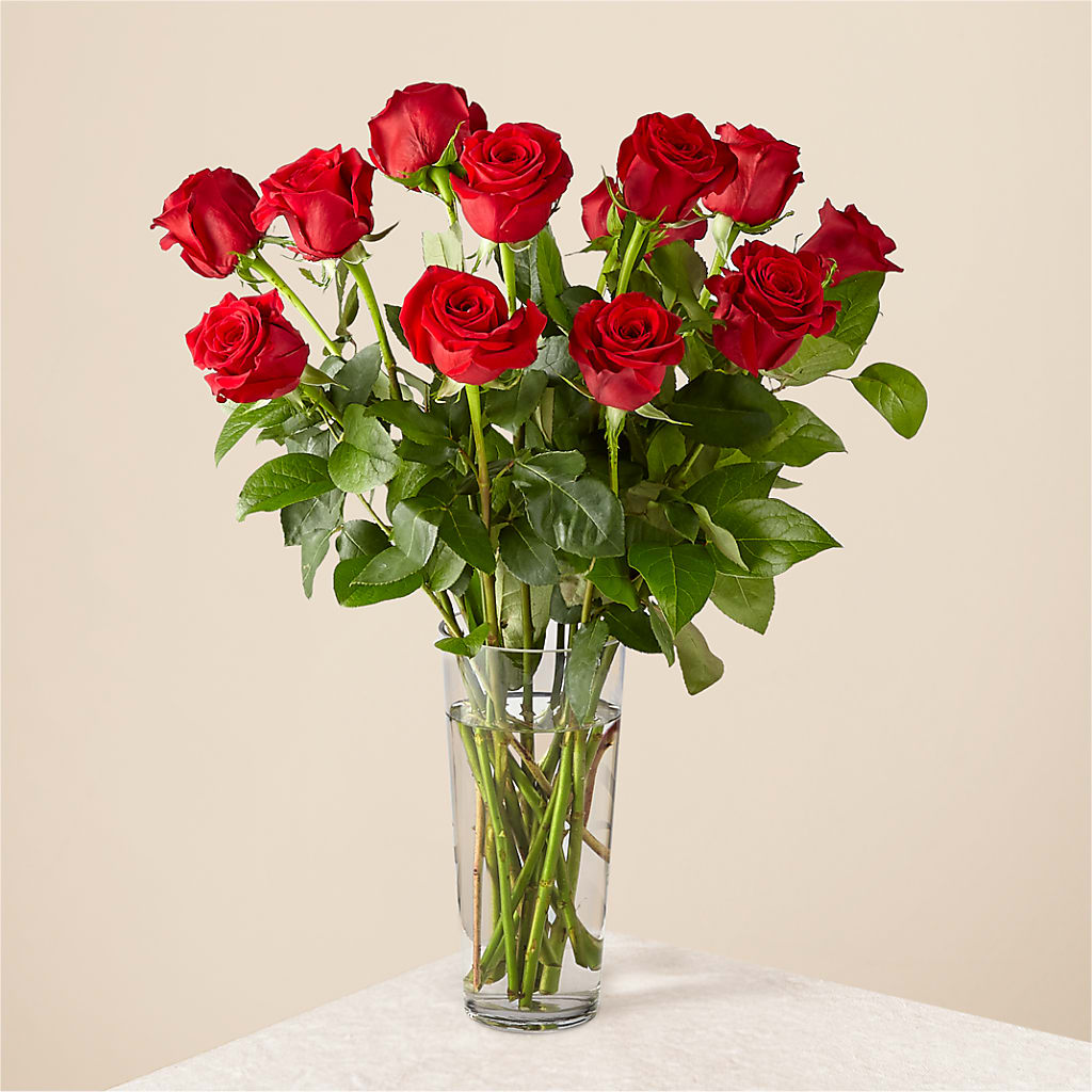 Long Stem Red Rose Bouquet – ANTONIO FLOWERS & GIFTS, Miami FL