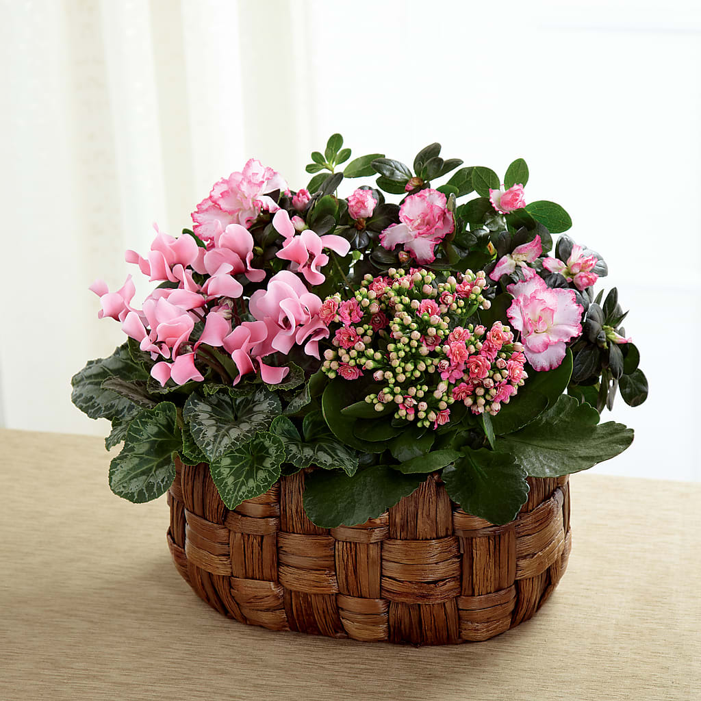 Pink Assortment – ANTONIO FLOWERS & GIFTS, Miami FL