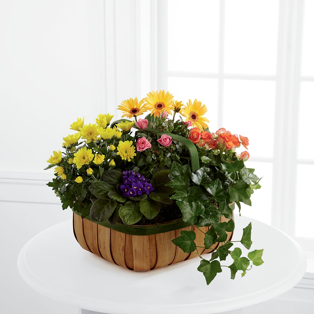 Gentle Blossoms Basket – ANTONIO FLOWERS & GIFTS, Miami FL