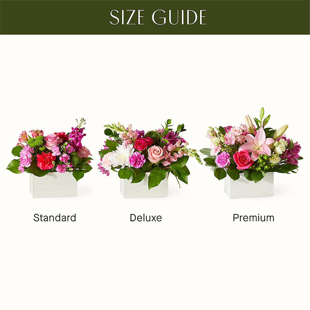 Sweetberry Box – A Florist Original – ANTONIO FLOWERS & GIFTS, Miami FL