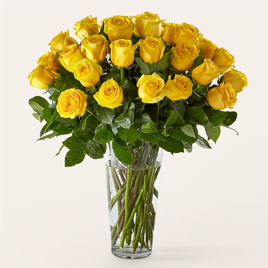 Long Stem Yellow Rose Bouquet – ANTONIO FLOWERS & GIFTS, Miami FL