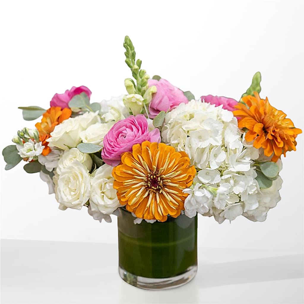 The Meet Cute – ANTONIO FLOWERS & GIFTS, Miami FL