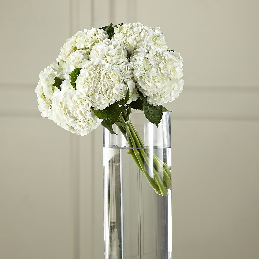 White Hydrangea Hand-Tied Bouquet – ANTONIO FLOWERS & GIFTS, Miami FL