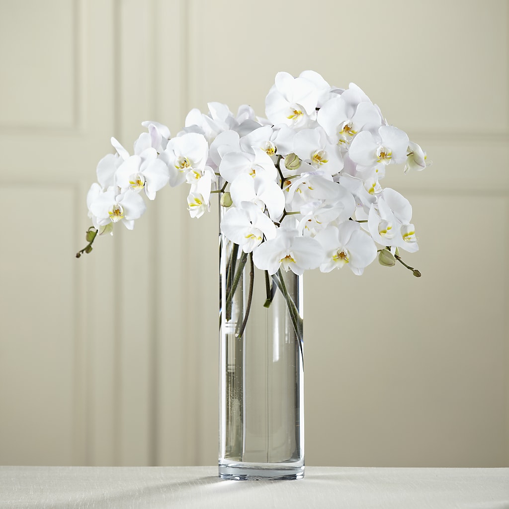 White Phalaenopsis Bouquet – ANTONIO FLOWERS & GIFTS, Miami FL