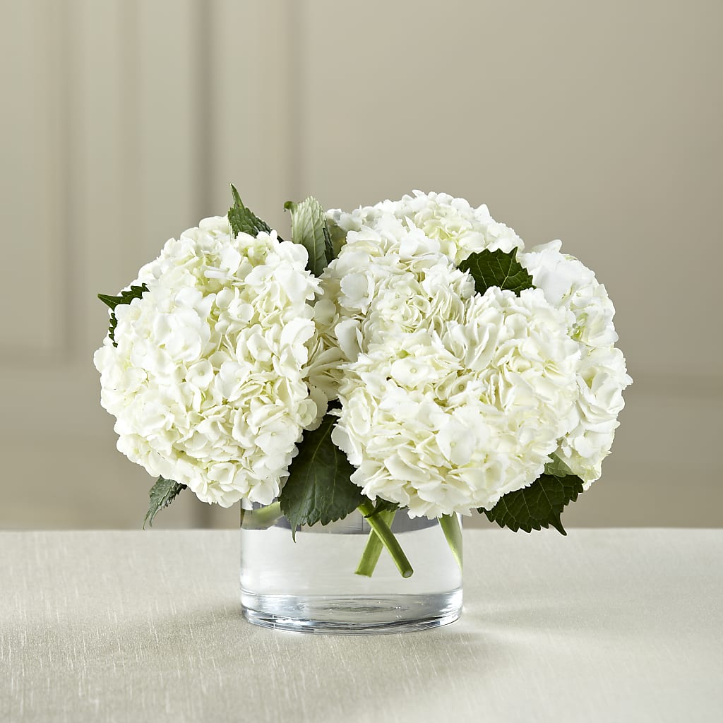 White Hydrangea Bouquet – ANTONIO FLOWERS & GIFTS, Miami FL