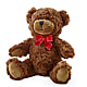 Adorable Plush Bear – ANTONIO FLOWERS & GIFTS, Miami FL
