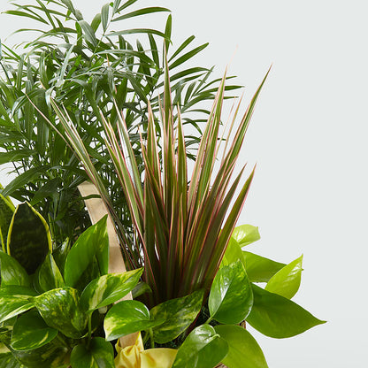 French Garden – ANTONIO FLOWERS & GIFTS, Miami FL