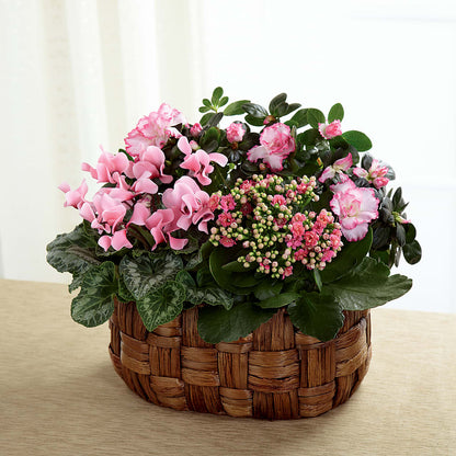Pink Assortment – ANTONIO FLOWERS & GIFTS, Miami FL