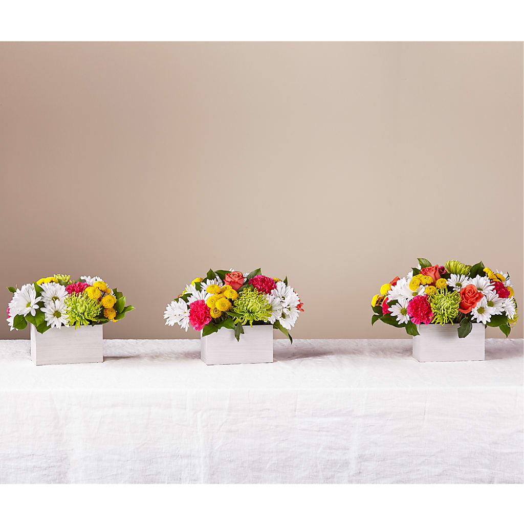 Sorbet Bouquet – ANTONIO FLOWERS & GIFTS, Miami FL