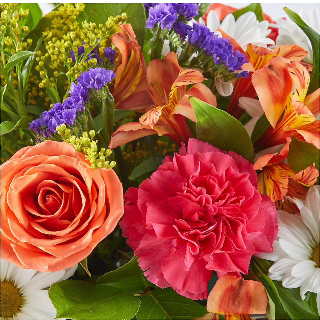 Oopsie Daisy Box Bouquet – ANTONIO FLOWERS & GIFTS, Miami FL