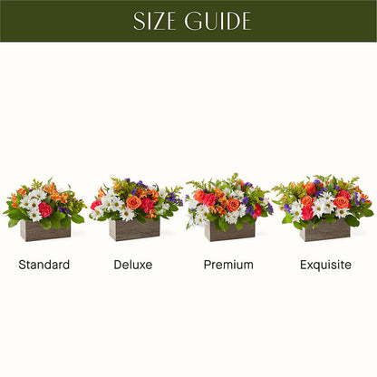 Oopsie Daisy Box Bouquet – ANTONIO FLOWERS & GIFTS, Miami FL