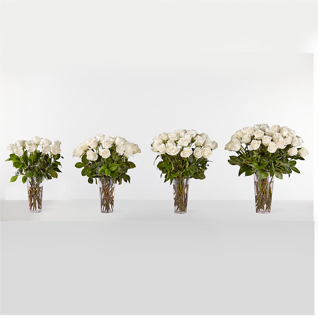 Long Stem White Rose Bouquet – ANTONIO FLOWERS & GIFTS, Miami FL