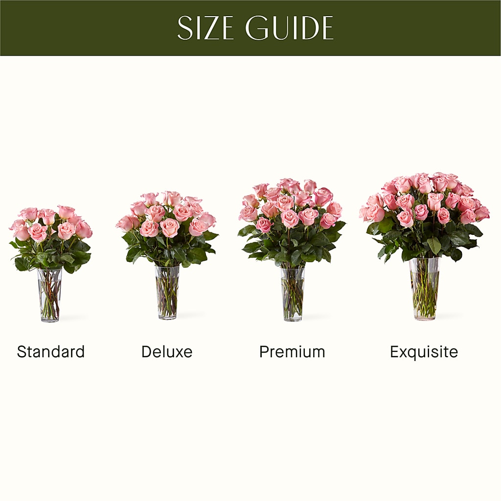 Long Stem Pink Rose Bouquet – ANTONIO FLOWERS & GIFTS, Miami FL