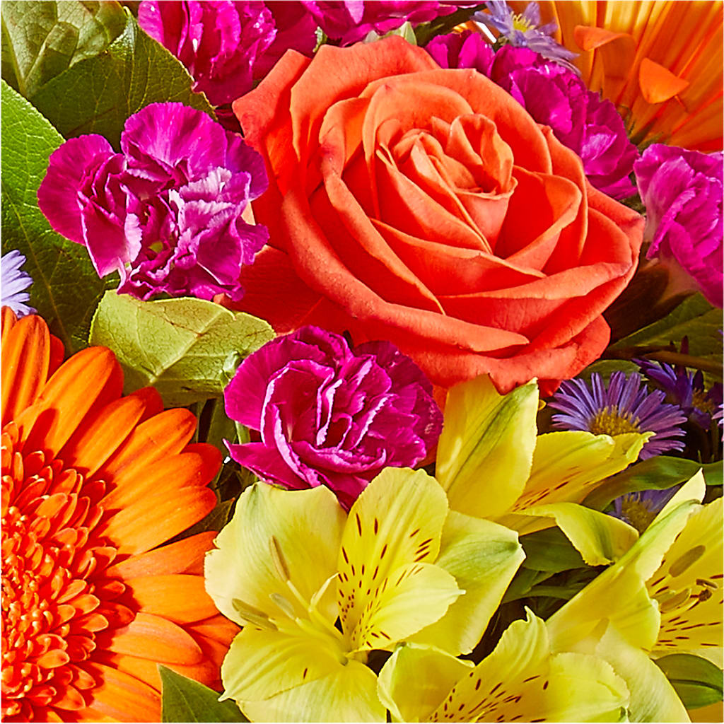 Tricks & Treats Pumpkin – ANTONIO FLOWERS & GIFTS, Miami FL