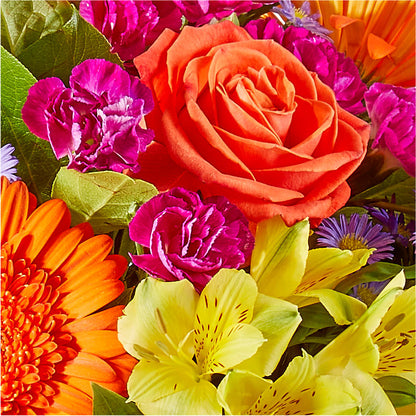 Tricks & Treats Pumpkin – ANTONIO FLOWERS & GIFTS, Miami FL