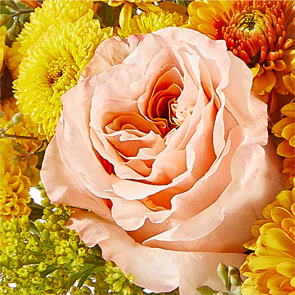 Peachy Pumpkin – ANTONIO FLOWERS & GIFTS, Miami FL
