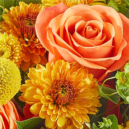 Gourdgeous Pumpkin – ANTONIO FLOWERS & GIFTS, Miami FL