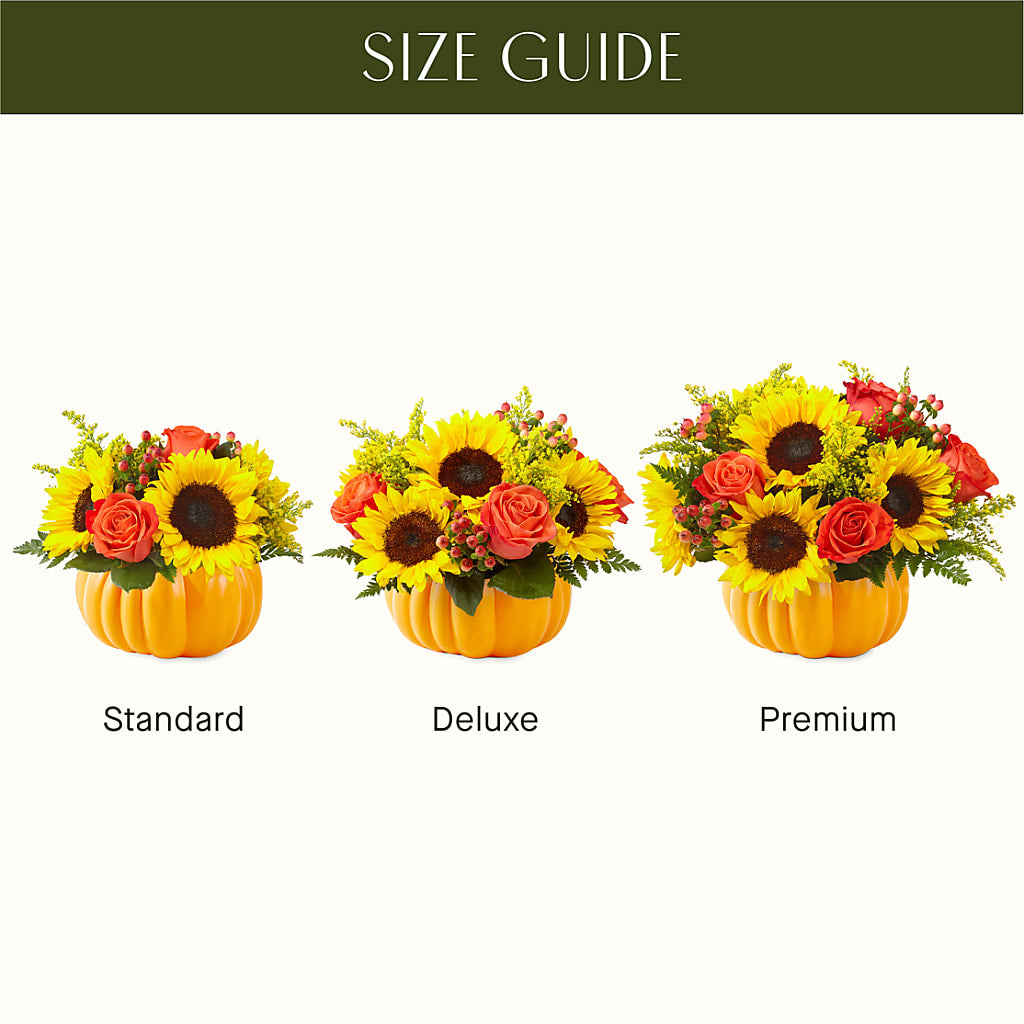 Pick of the Patch Pumpkin Bouquet – ANTONIO FLOWERS & GIFTS, Miami FL