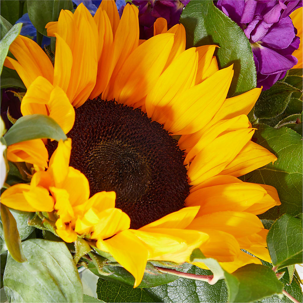 Catching Rays Bouquet – ANTONIO FLOWERS & GIFTS, Miami FL