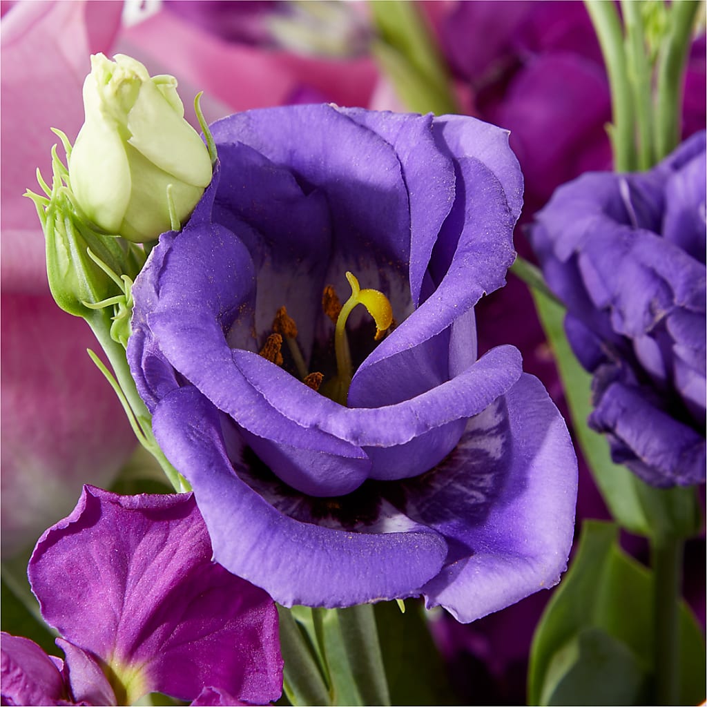 Twilight Glow Bouquet – ANTONIO FLOWERS & GIFTS, Miami FL