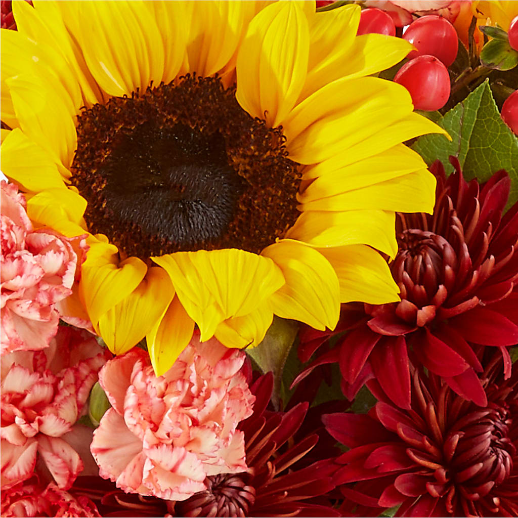 Fresh Cider Bouquet – ANTONIO FLOWERS & GIFTS, Miami FL