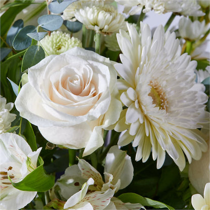 New Beginnings – A Florist Original – ANTONIO FLOWERS & GIFTS, Miami FL