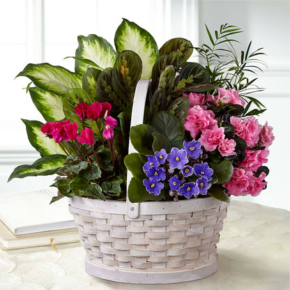 Peaceful Garden Planter – ANTONIO FLOWERS & GIFTS, Miami FL