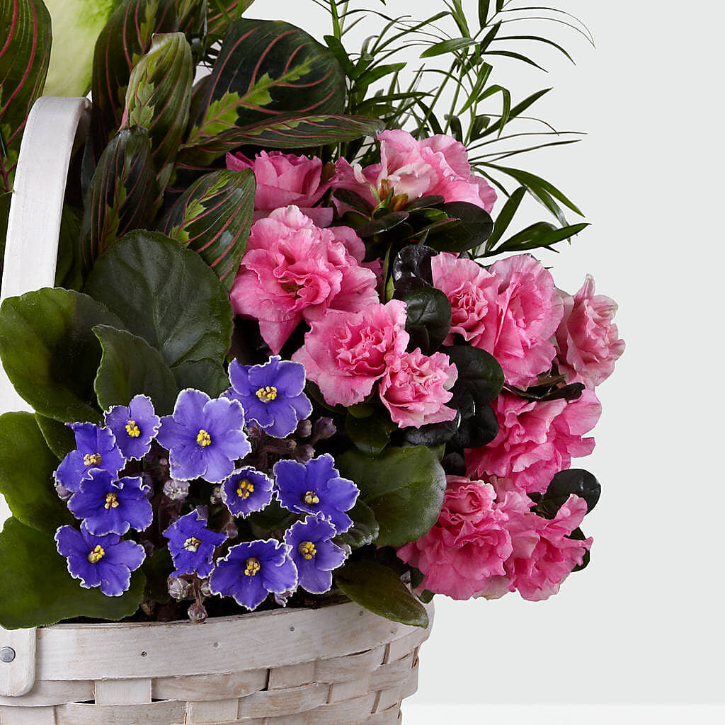 Peaceful Garden Planter – ANTONIO FLOWERS & GIFTS, Miami FL