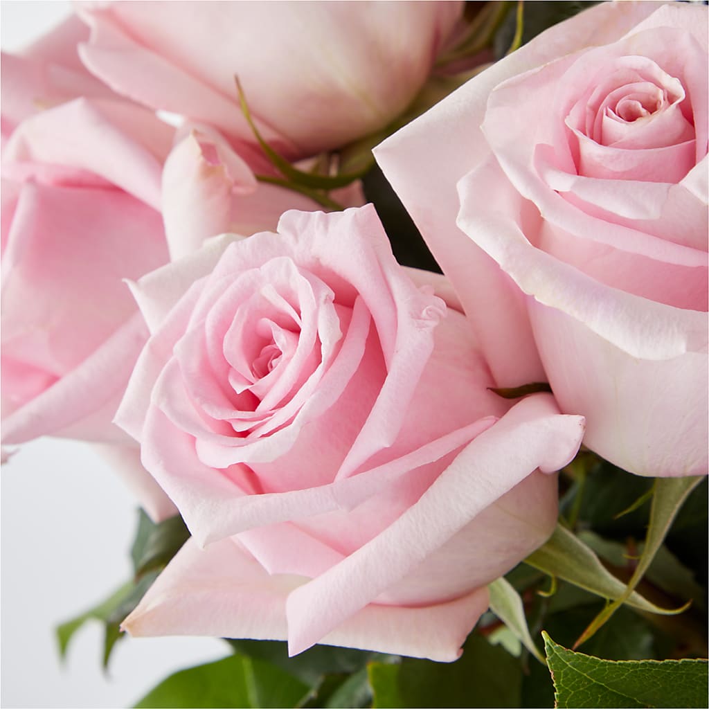 Picture Perfect Pink Rose Bouquet – ANTONIO FLOWERS & GIFTS, Miami FL