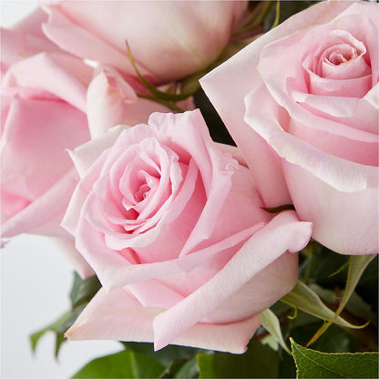 Picture Perfect Pink Rose Bouquet – ANTONIO FLOWERS & GIFTS, Miami FL