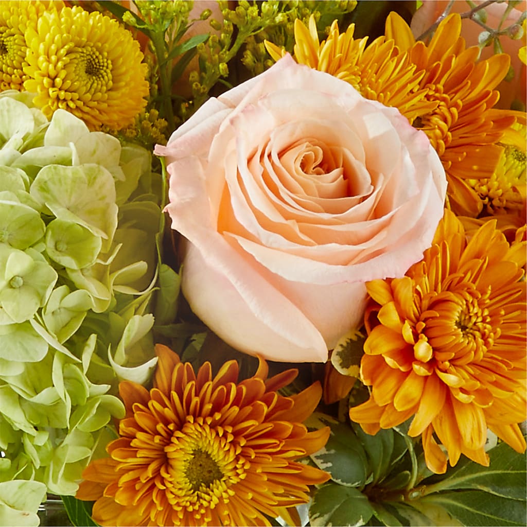 Fall Foliage Bouquet – ANTONIO FLOWERS & GIFTS, Miami FL