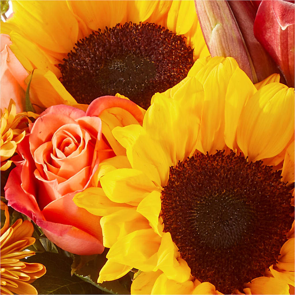 Acorn Lane Bouquet – ANTONIO FLOWERS & GIFTS, Miami FL