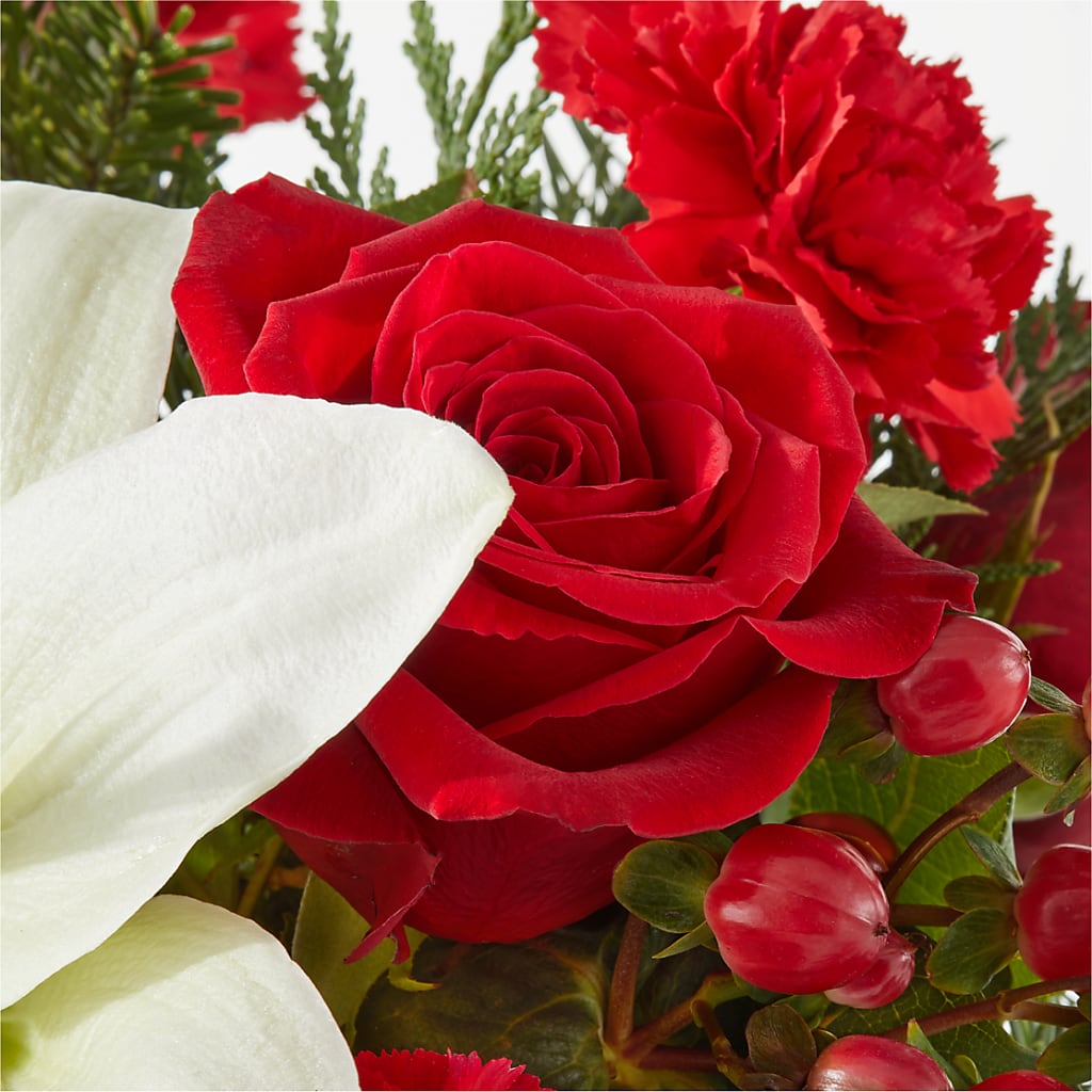 Oh So Jolly Bouquet – ANTONIO FLOWERS & GIFTS, Miami FL