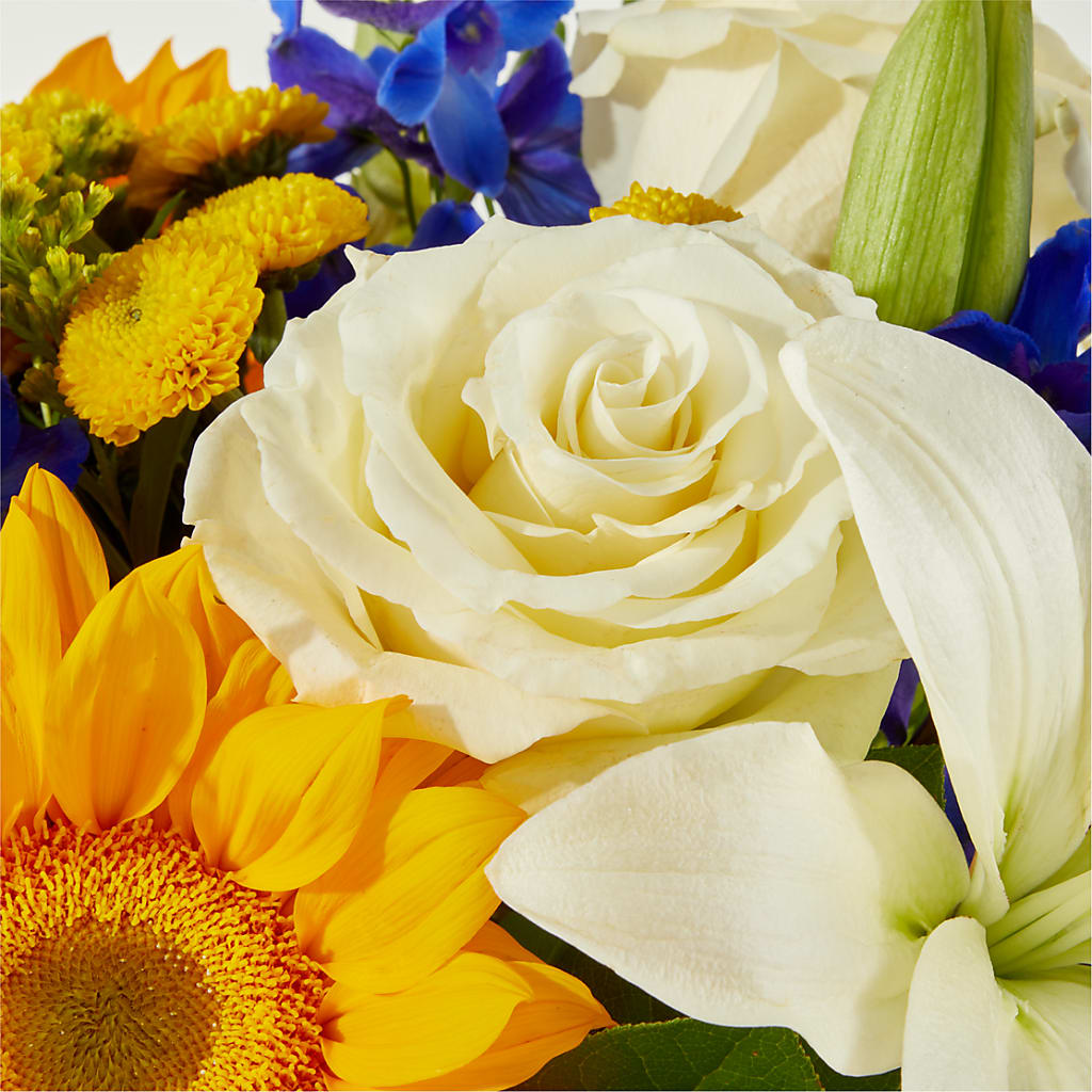 Stargazing Bouquet – ANTONIO FLOWERS & GIFTS, Miami FL