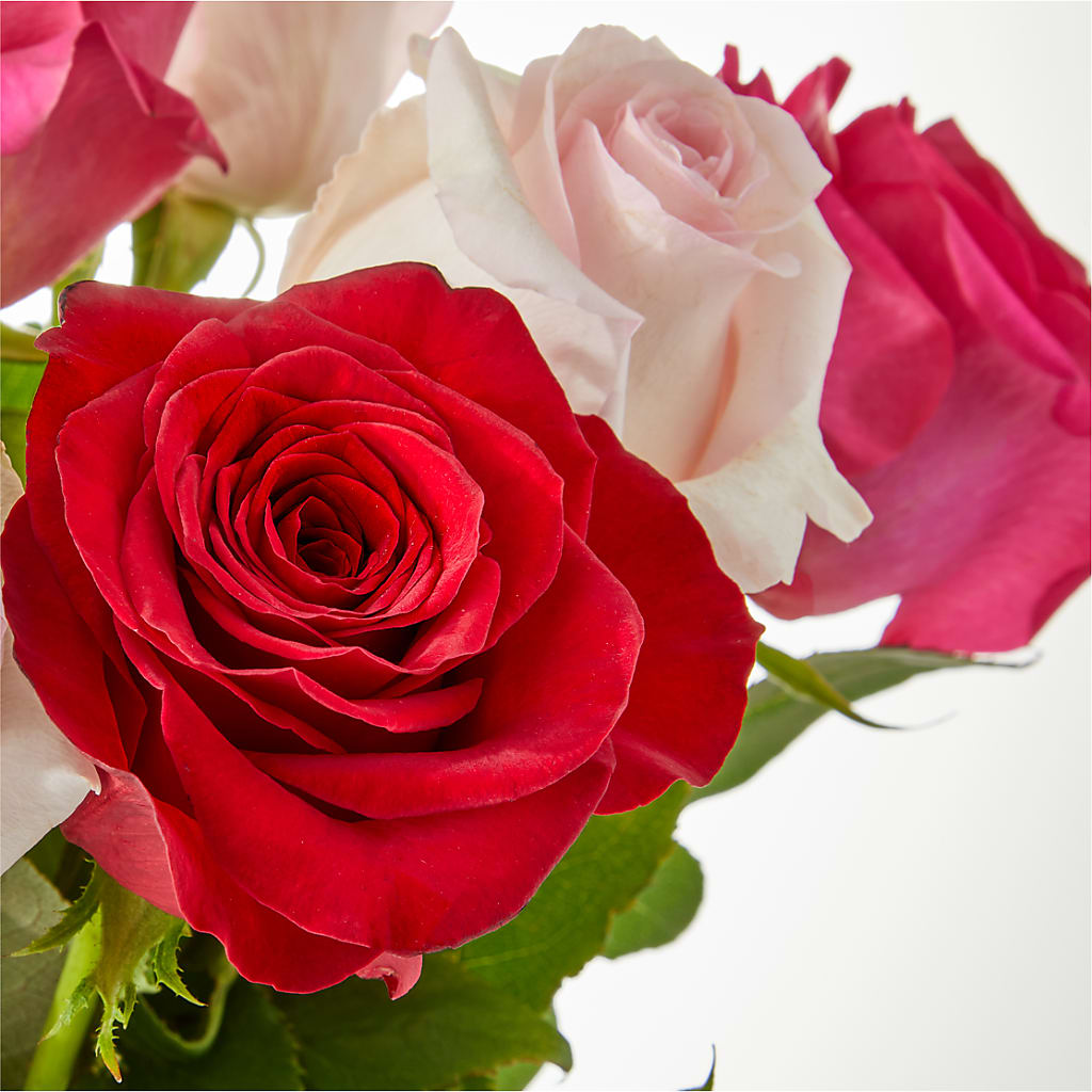 Charming Rose Bouquet – ANTONIO FLOWERS & GIFTS, Miami FL