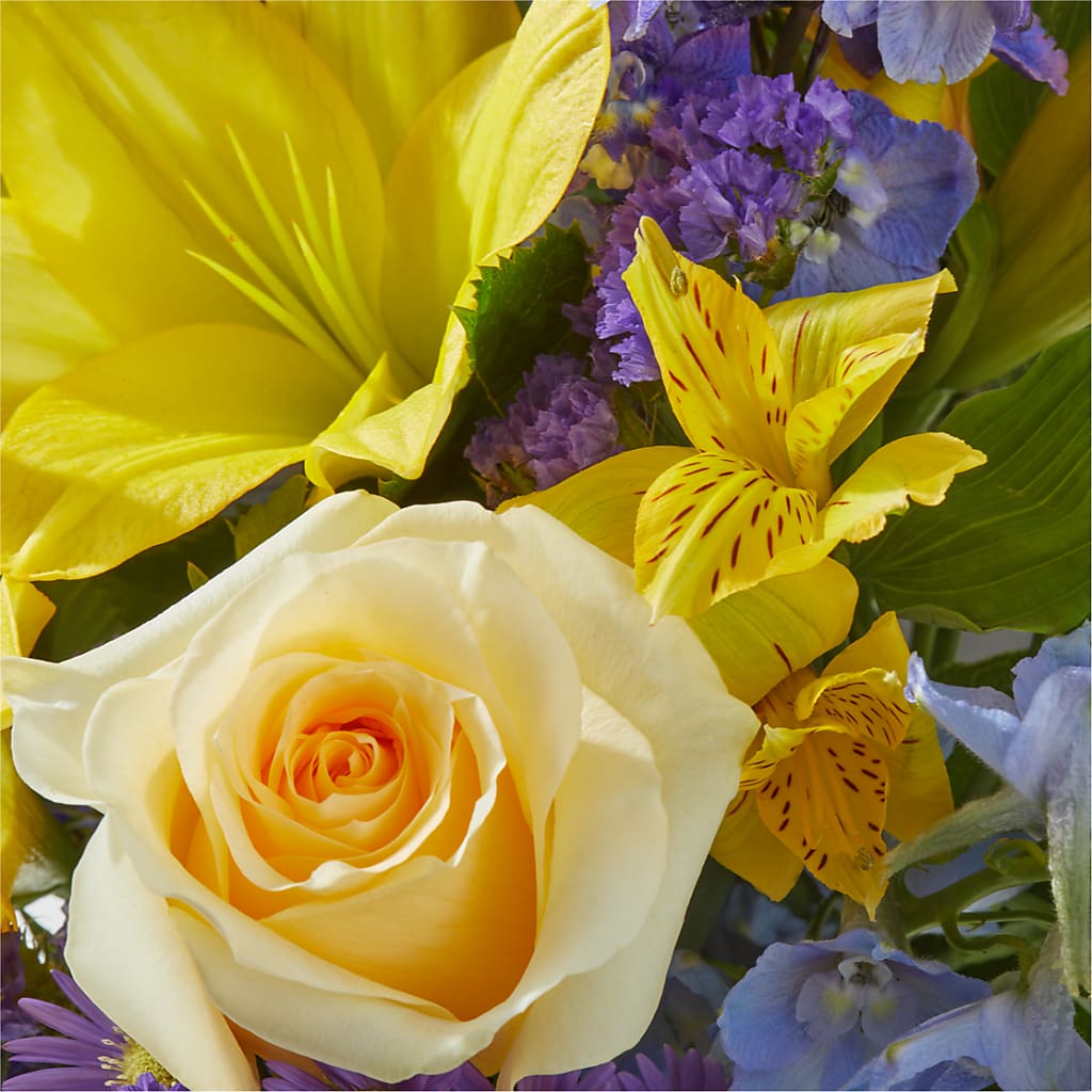 Limoncello Bouquet – ANTONIO FLOWERS & GIFTS, Miami FL