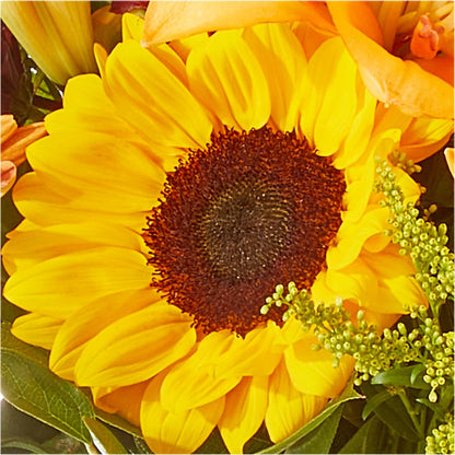 Seasons Change Bouquet – ANTONIO FLOWERS & GIFTS, Miami FL