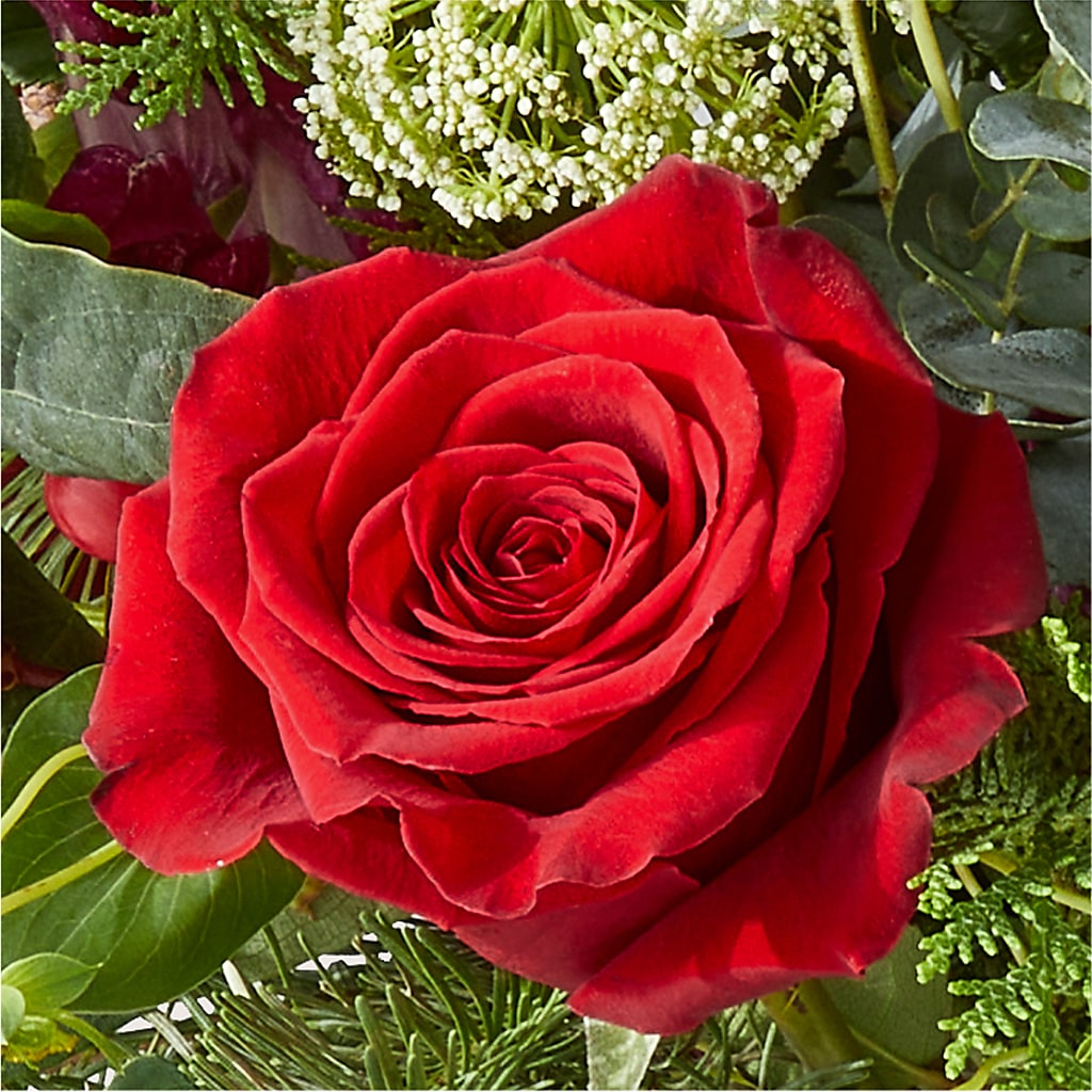 Cranberry Fizz Bouquet – ANTONIO FLOWERS & GIFTS, Miami FL