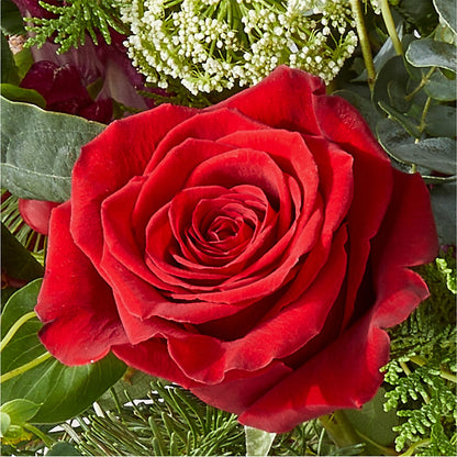 Cranberry Fizz Bouquet – ANTONIO FLOWERS & GIFTS, Miami FL