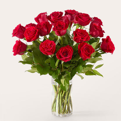 The One Red Rose Bouquet – ANTONIO FLOWERS & GIFTS, Miami FL