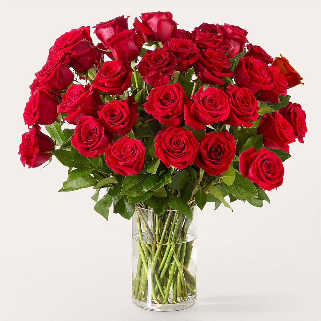 The One Red Rose Bouquet – ANTONIO FLOWERS & GIFTS, Miami FL