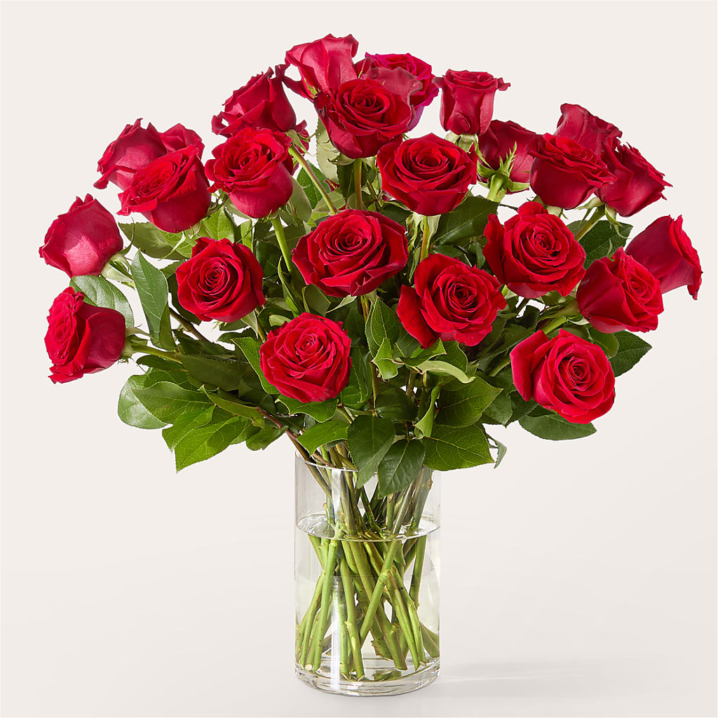 The One Red Rose Bouquet – ANTONIO FLOWERS & GIFTS, Miami FL