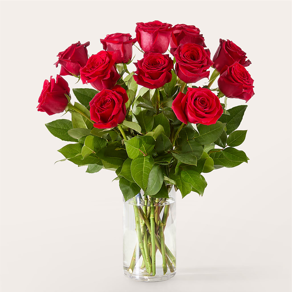 The One Red Rose Bouquet – ANTONIO FLOWERS & GIFTS, Miami FL