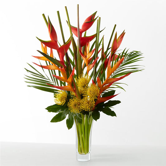 The Drama – ANTONIO FLOWERS & GIFTS, Miami FL