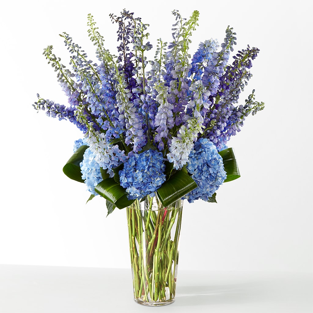 The Editorial – ANTONIO FLOWERS & GIFTS, Miami FL