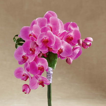 Glorious Bouquet – ANTONIO FLOWERS & GIFTS, Miami FL