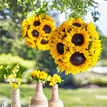 Sublime Garden Hanging Arrangement – ANTONIO FLOWERS & GIFTS, Miami FL