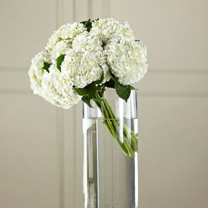 White Hydrangea Hand-Tied Bouquet – ANTONIO FLOWERS & GIFTS, Miami FL