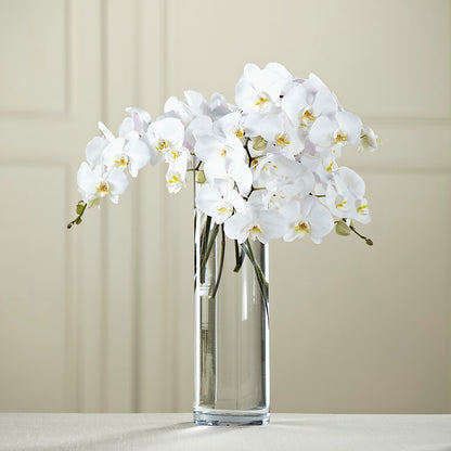 White Phalaenopsis Bouquet – ANTONIO FLOWERS & GIFTS, Miami FL