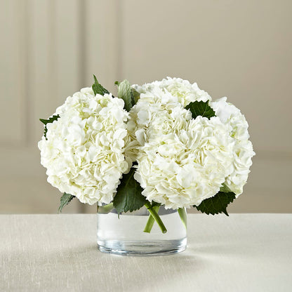 White Hydrangea Bouquet – ANTONIO FLOWERS & GIFTS, Miami FL
